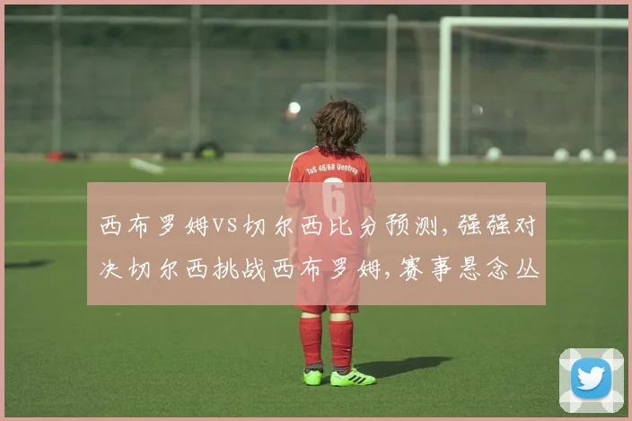 西布罗姆vs切尔西比分预测,强强对决切尔西挑战西布罗姆,赛事悬念丛生,