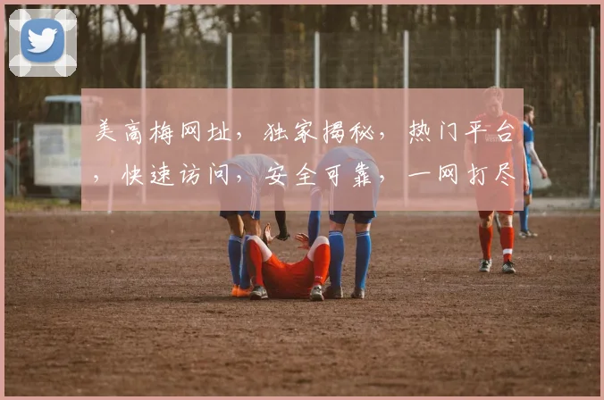 美高梅网址，独家揭秘，热门平台，快速访问，安全可靠，一网打尽