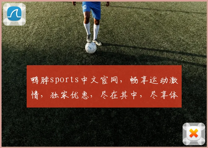 鸭脖sports中文官网，畅享运动激情，独家优惠，尽在其中，尽享体育盛宴