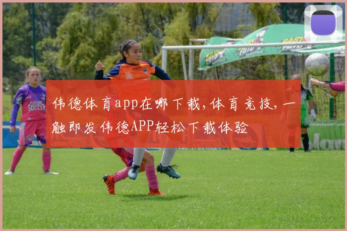 伟德体育app在哪下载,体育竞技,一触即发伟德APP轻松下载体验